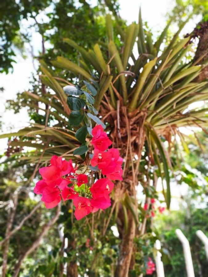 Vila Mulungu Casa Bagian luar foto